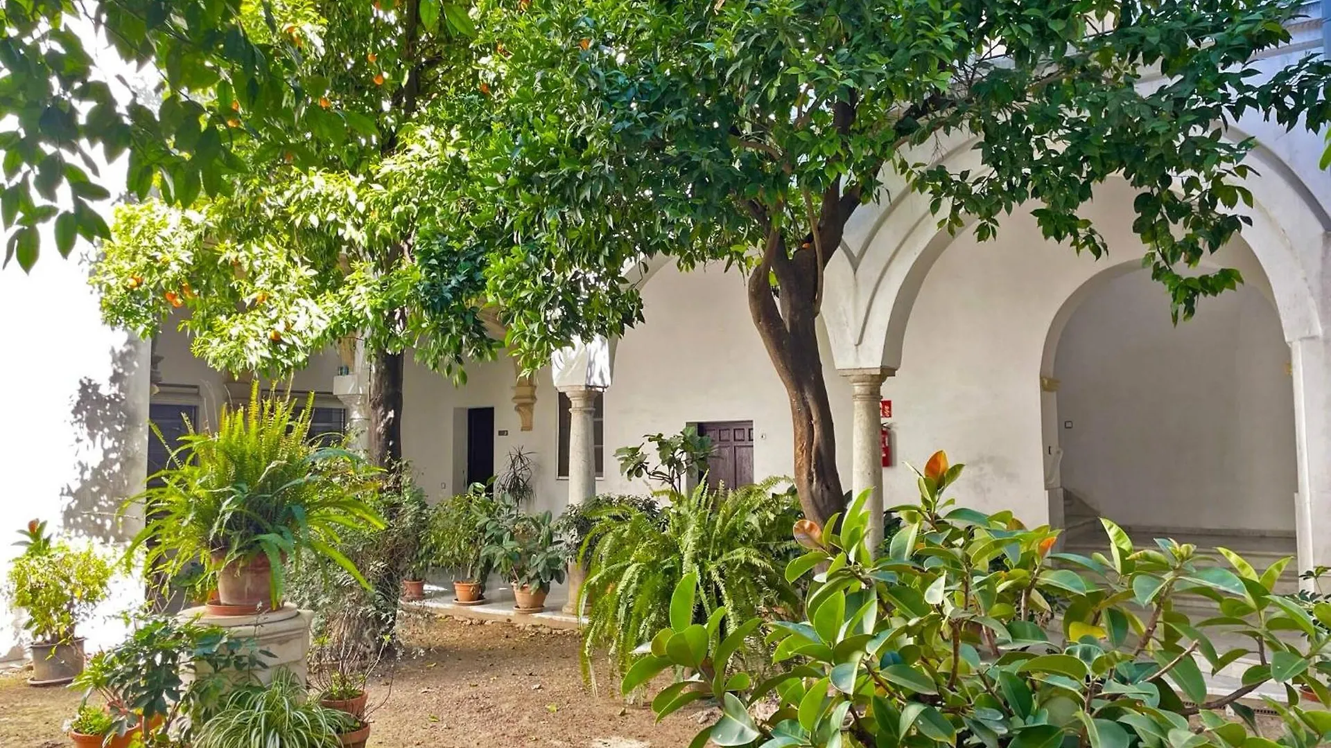 Apartamento Intramuros - Ole Solutions Jerez de la Frontera